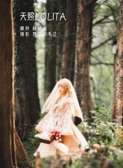 衣袖红镶边 电视剧